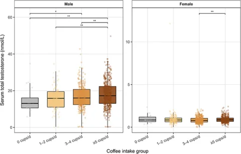 Testosterone boost Coffee could improve metabolic health through hormonal pathways, especially in men, the researchers suggest. (Verroest et al., Eur. J. Nutr., 2026)