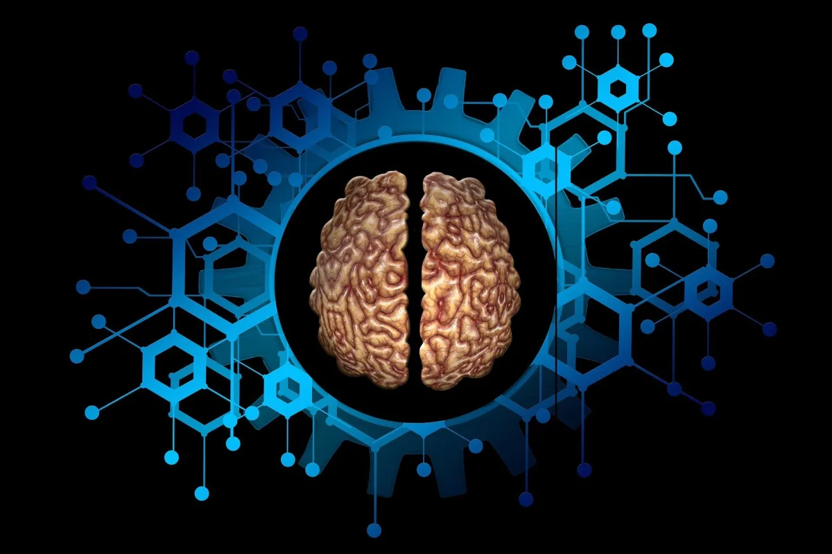 Smadzeņu izpētei fMRI skenerī izmantos videospēles