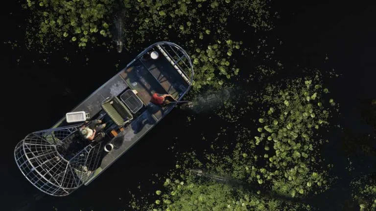 Grand Theft Auto 6 Press Image 7