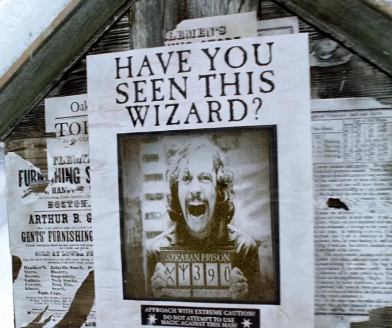 Image 4: Gary Oldman played Sirius Black in the Warner Bros. franchise (Warner Bros.)