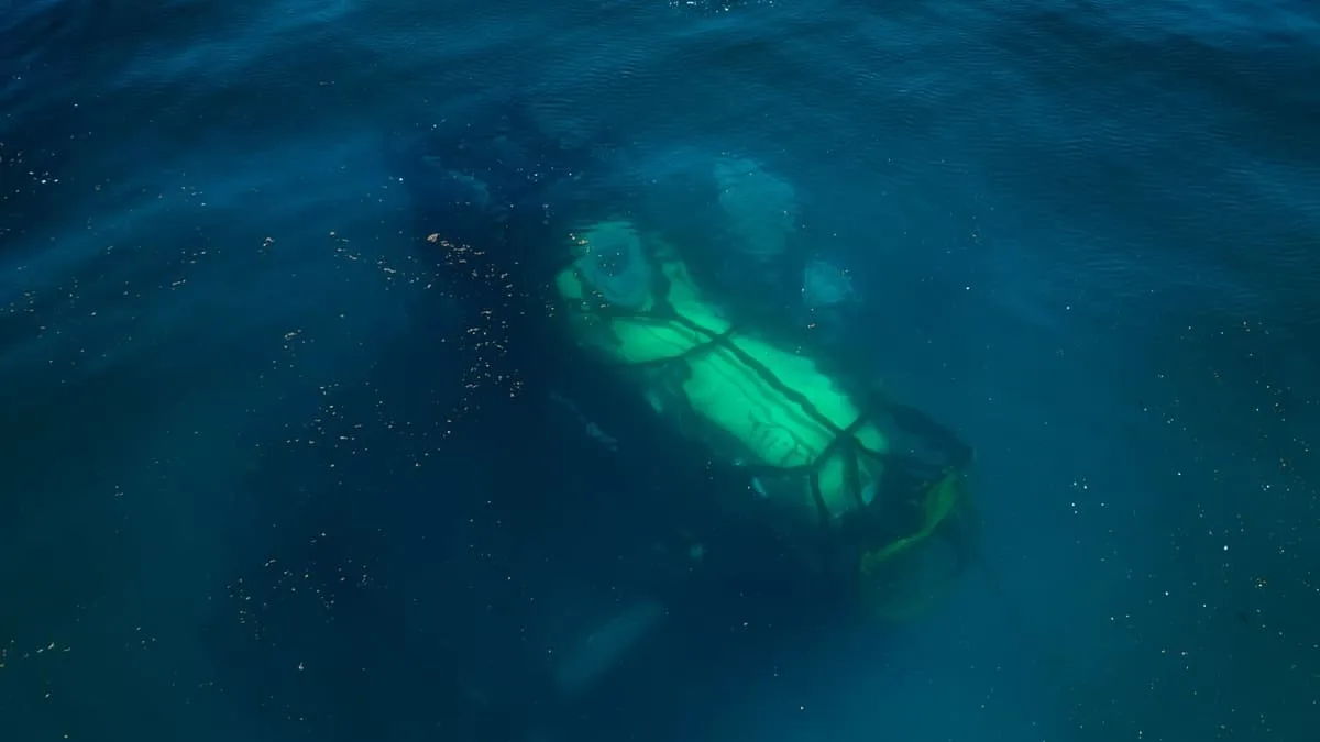 Image 35: Yellow tank underwater