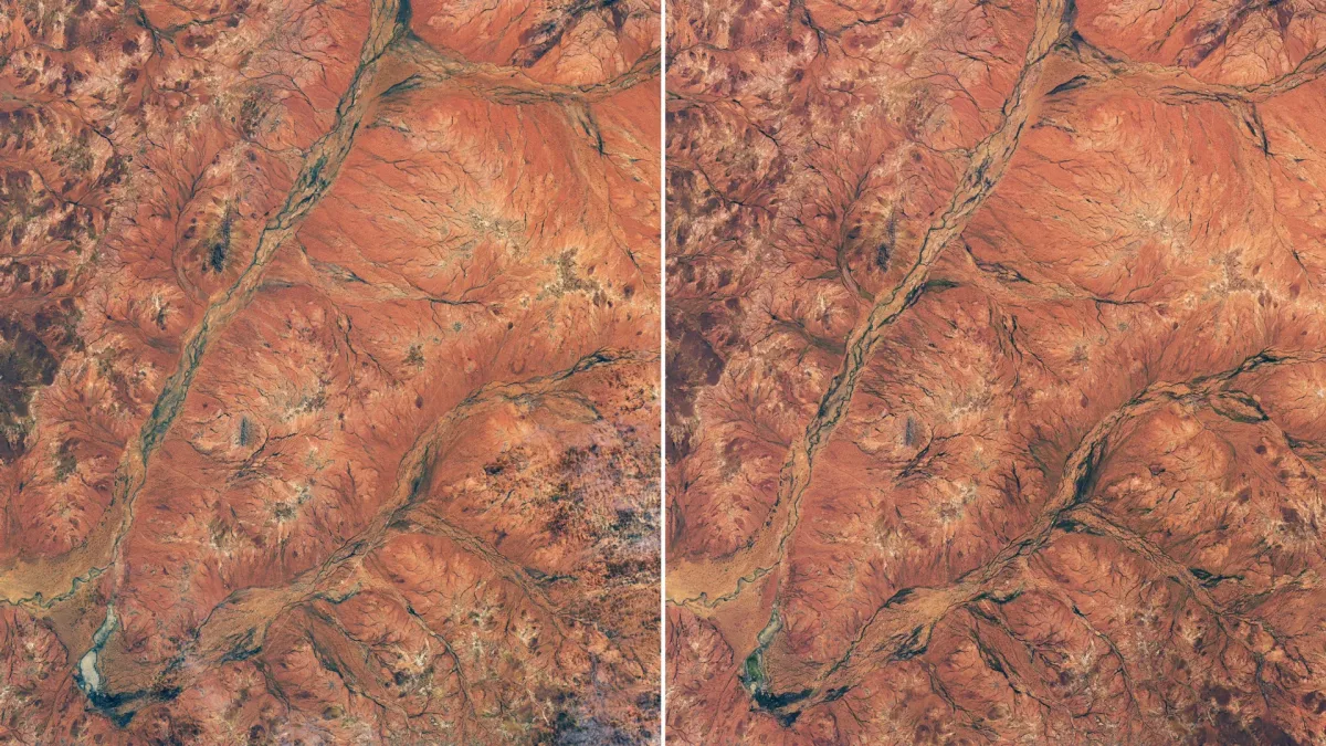 NASA satelītattēli atklāj neparastu ziedu eksploziju Austrālijas sausajā nomalē