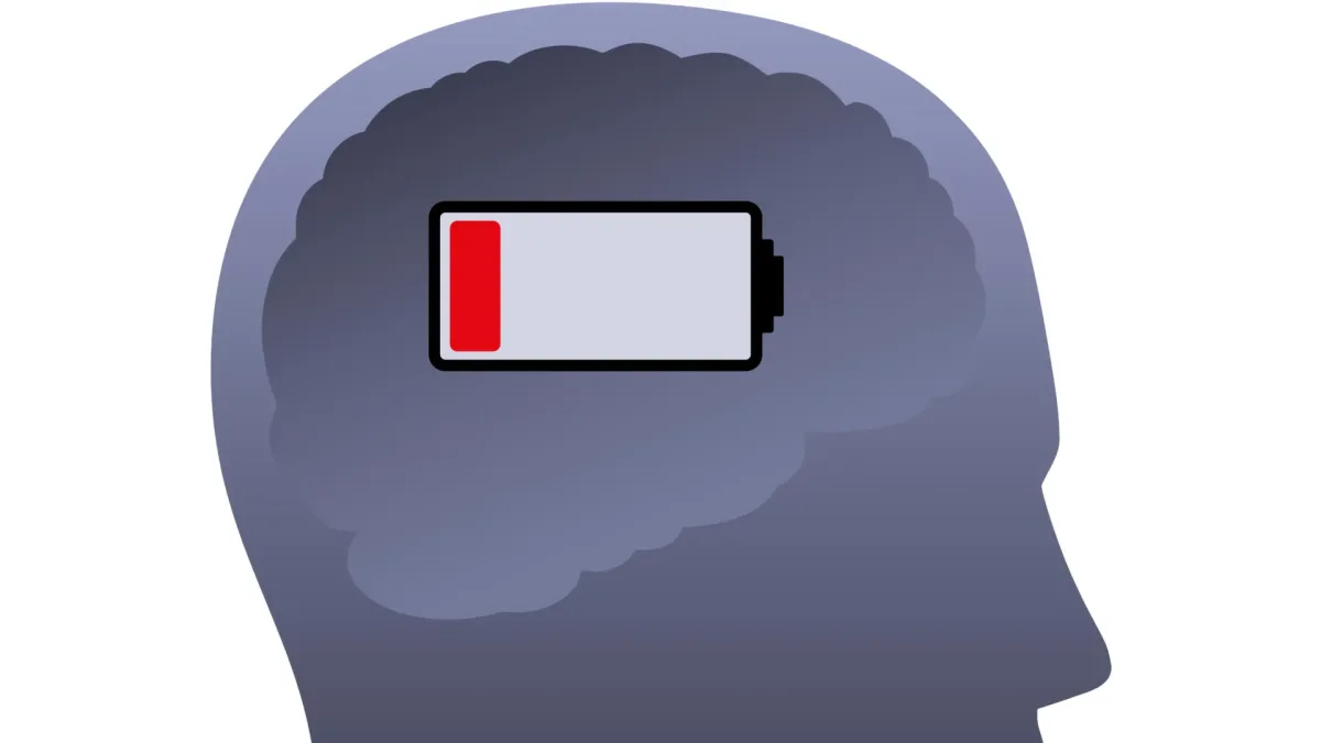 Sapņošanas laikā smadzenēm var pieaugt enerģijas piegāde, bet samazināties ATP līmenis