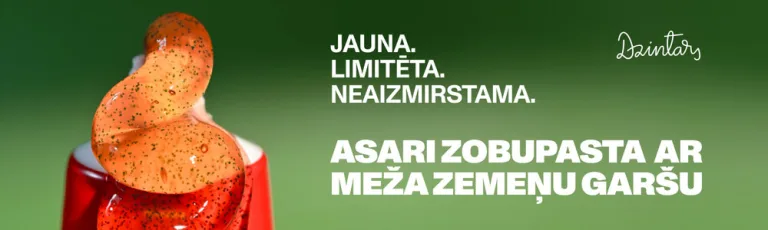 Image 13: Dzintars