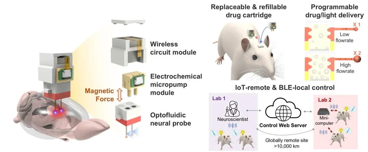 A Brain Implant in Korea Was Just Controlled From The US Overview of the brain implant and its key function. (Jae-Woong Jeong/KAIST)