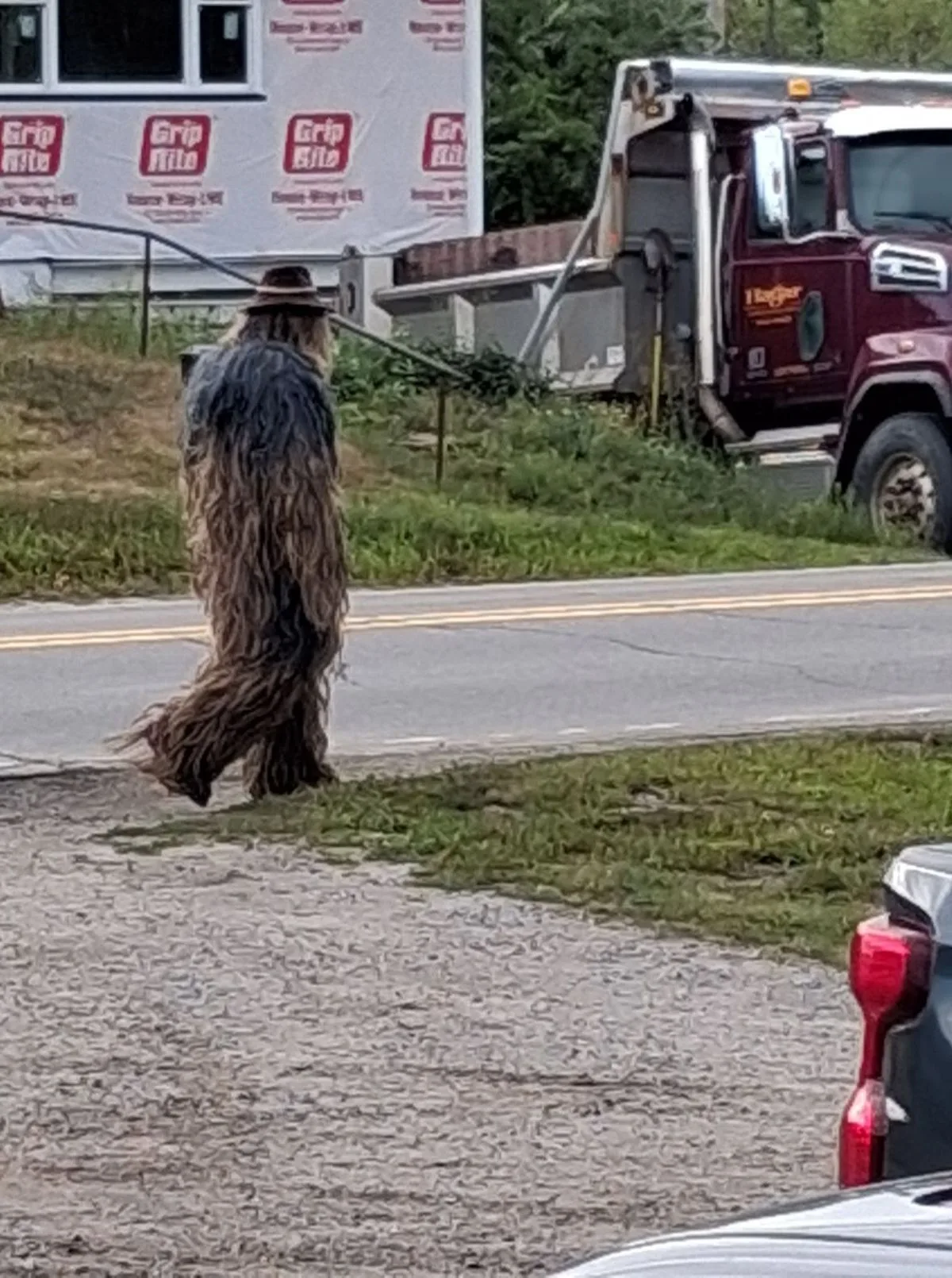Image 7: Locals were convinced this was the infamous Bigfoot