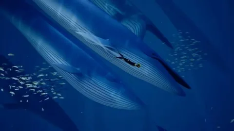 Image 30: Image related to the question