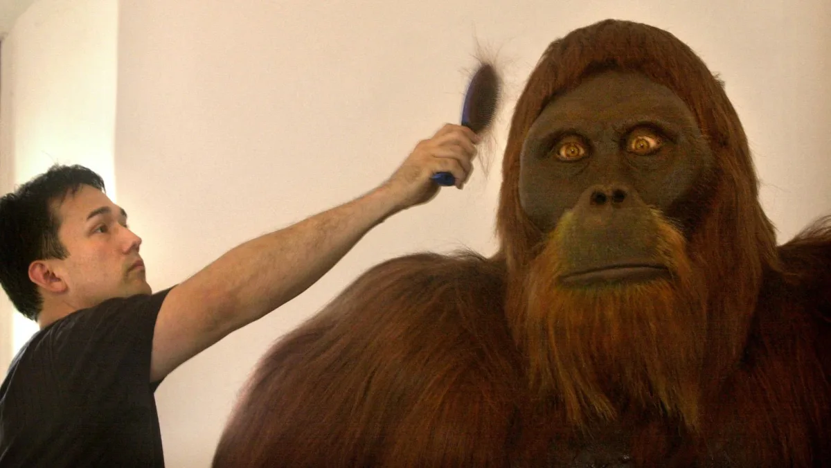 Kas notiktu, ja Homo erectus sastaptu milzīgo Gigantopithecus?