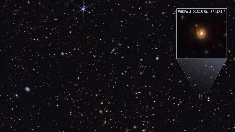 Image 38: Webb’s image of spiral galaxy Saguaro, revealing a bright red core linked to mysterious Little Red Dots.