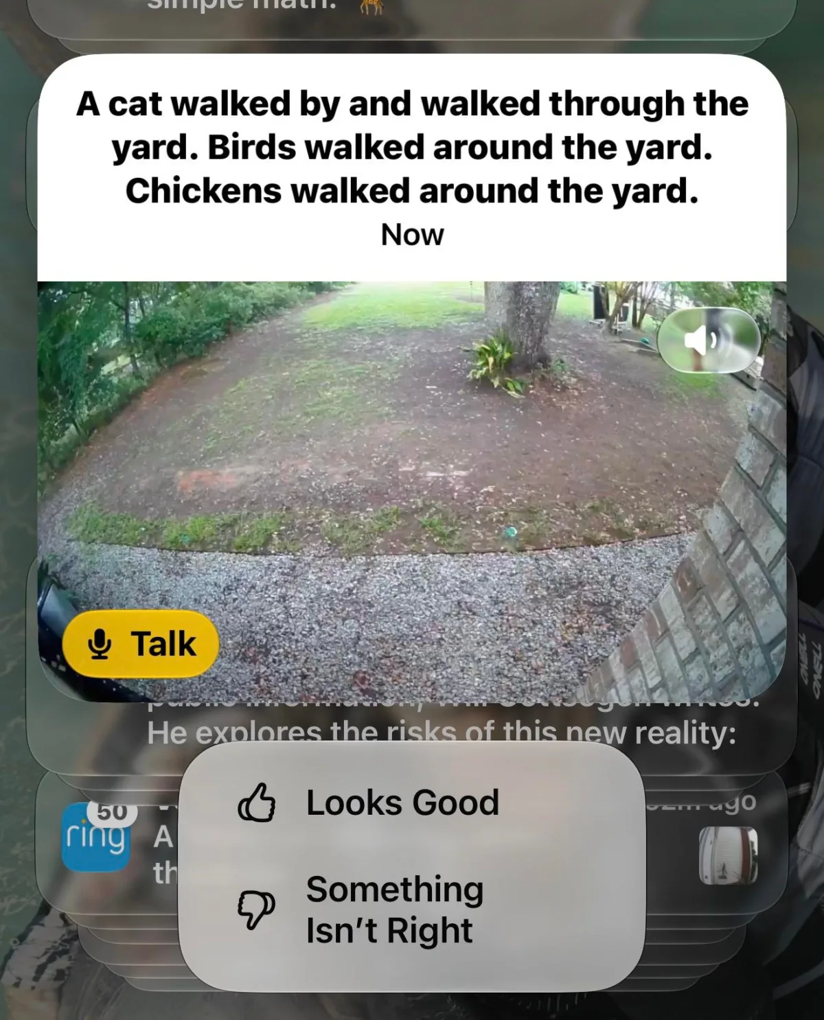 Image 7: AI-generated video summaries provide text descriptions of what a camera sees.