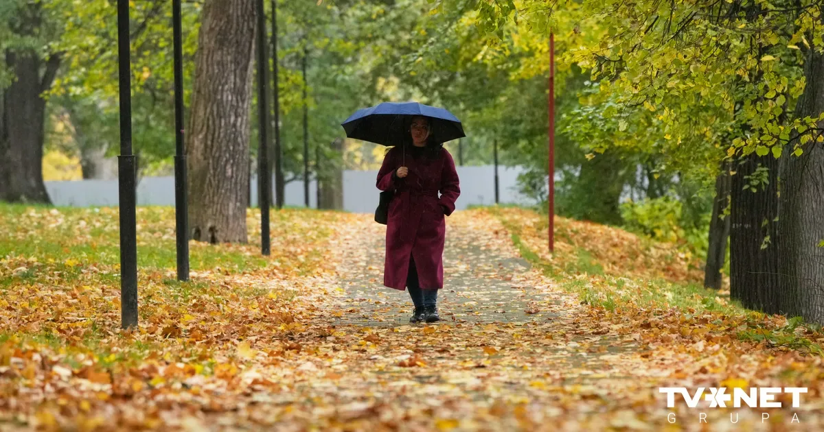 Vētras dēļ rīdziniekus aicina piektdien neapmeklēt parkus, rotaļu laukumus un kapsētas