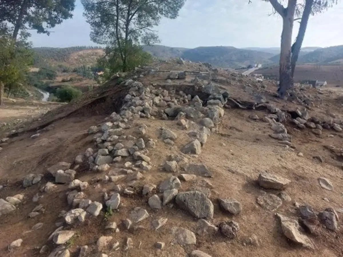 Image 35: A row of rocks making a wall on a hill.