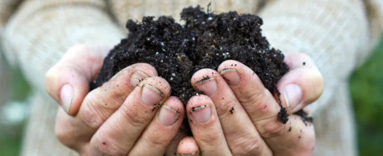 Scientists seeking soil (and bacteria) from your backyard Something is happening to the world's biggest seed bank, the one beneath your feed. (Cora Mueller/Shutterstock)