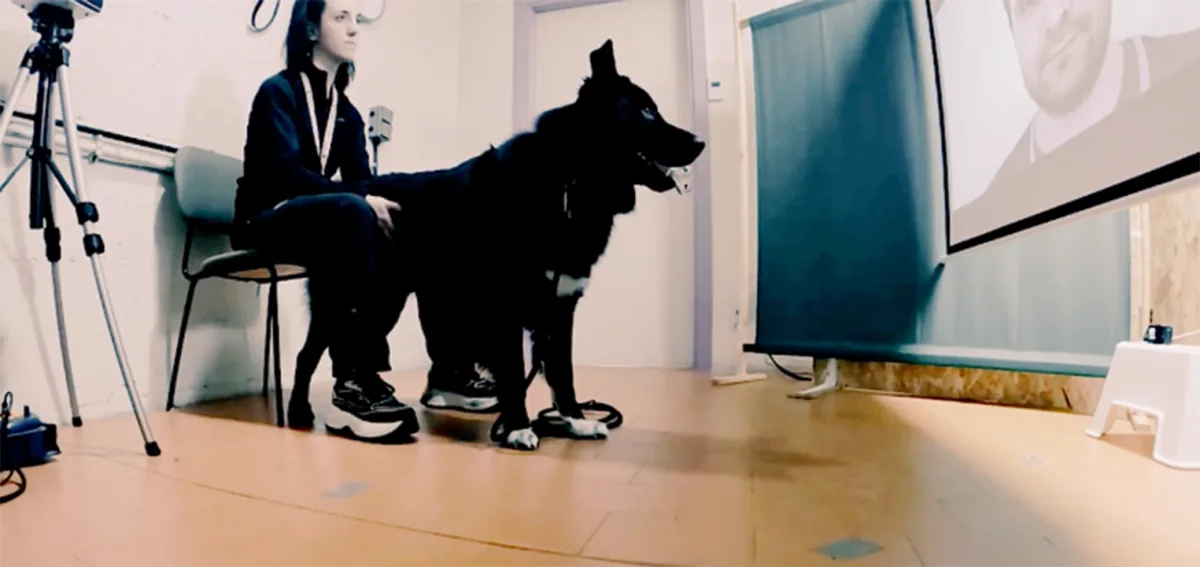 Suņi pamana saimnieka mirkšķināšanu un paši sāk mirkšķināt biežāk