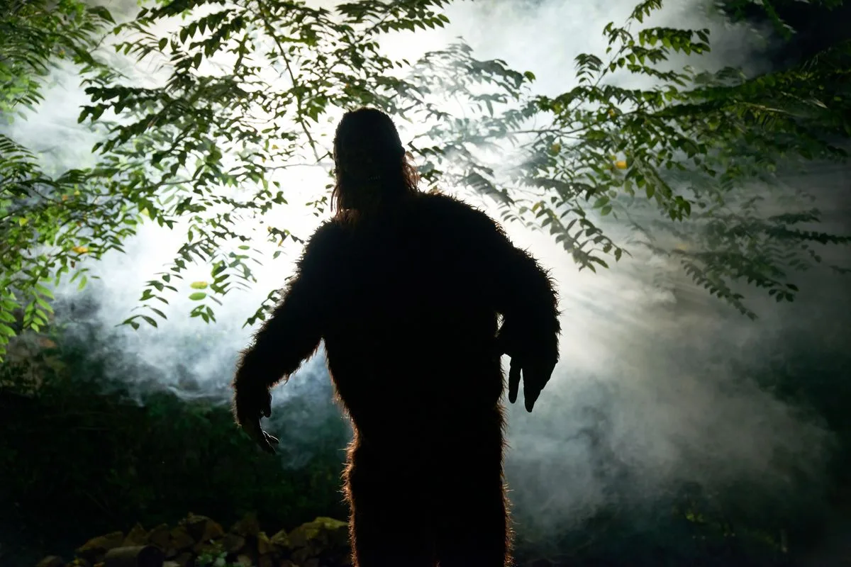 Image 11: Bigfoot sightings have been on the rise since March this year