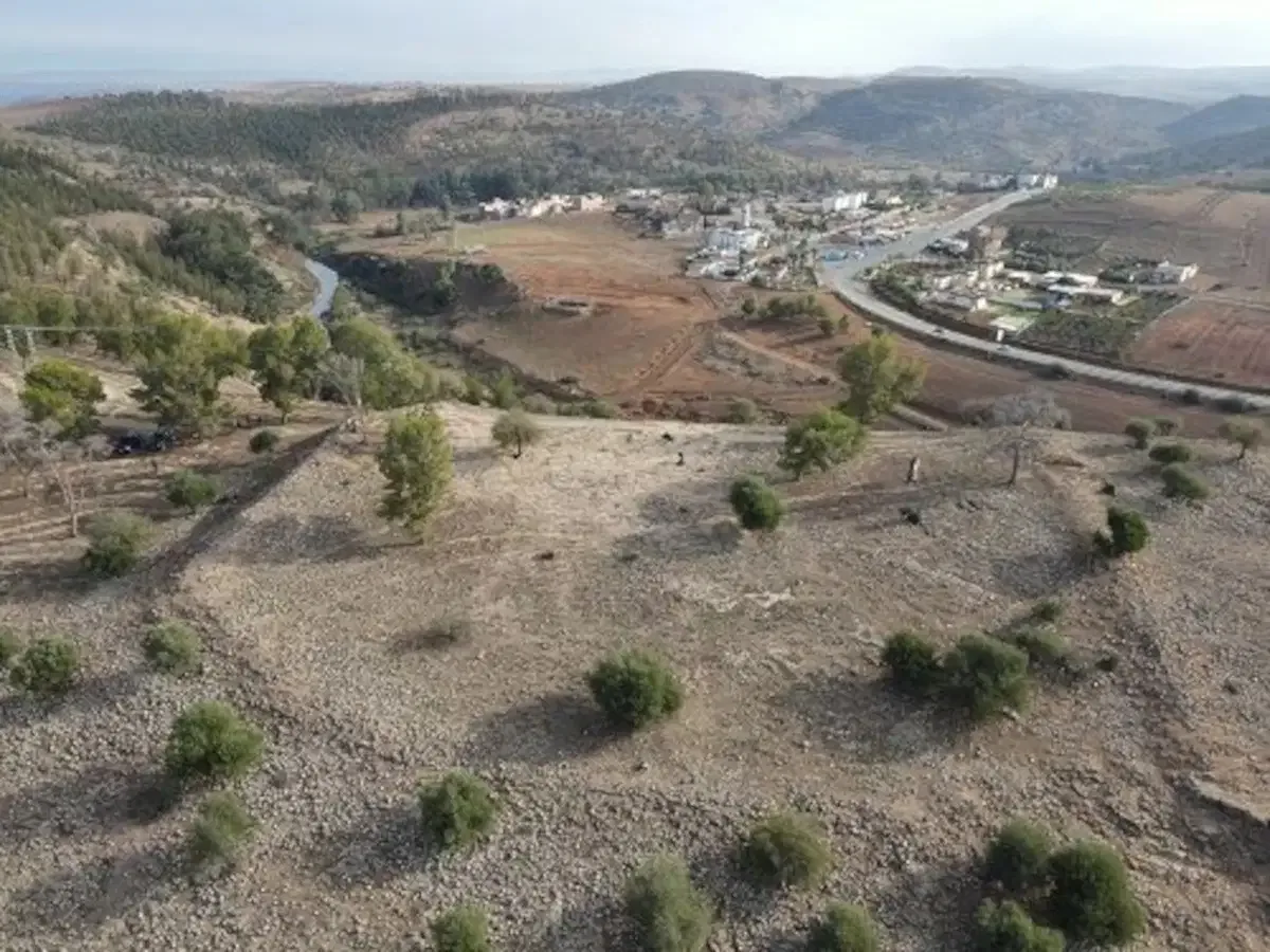 Image 39: Aerial views of two hills with trees on them.