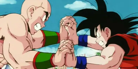 Goku vs Tenshinhan 23rd