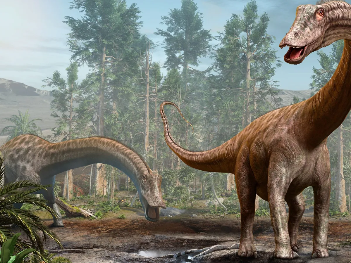 Spānijā pirmoreiz atrastas ikoniskā dinozaura Diplodocus fosilijas