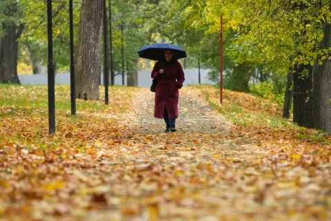 Rudens diena Rudens diena Foto: AP/Scanpix