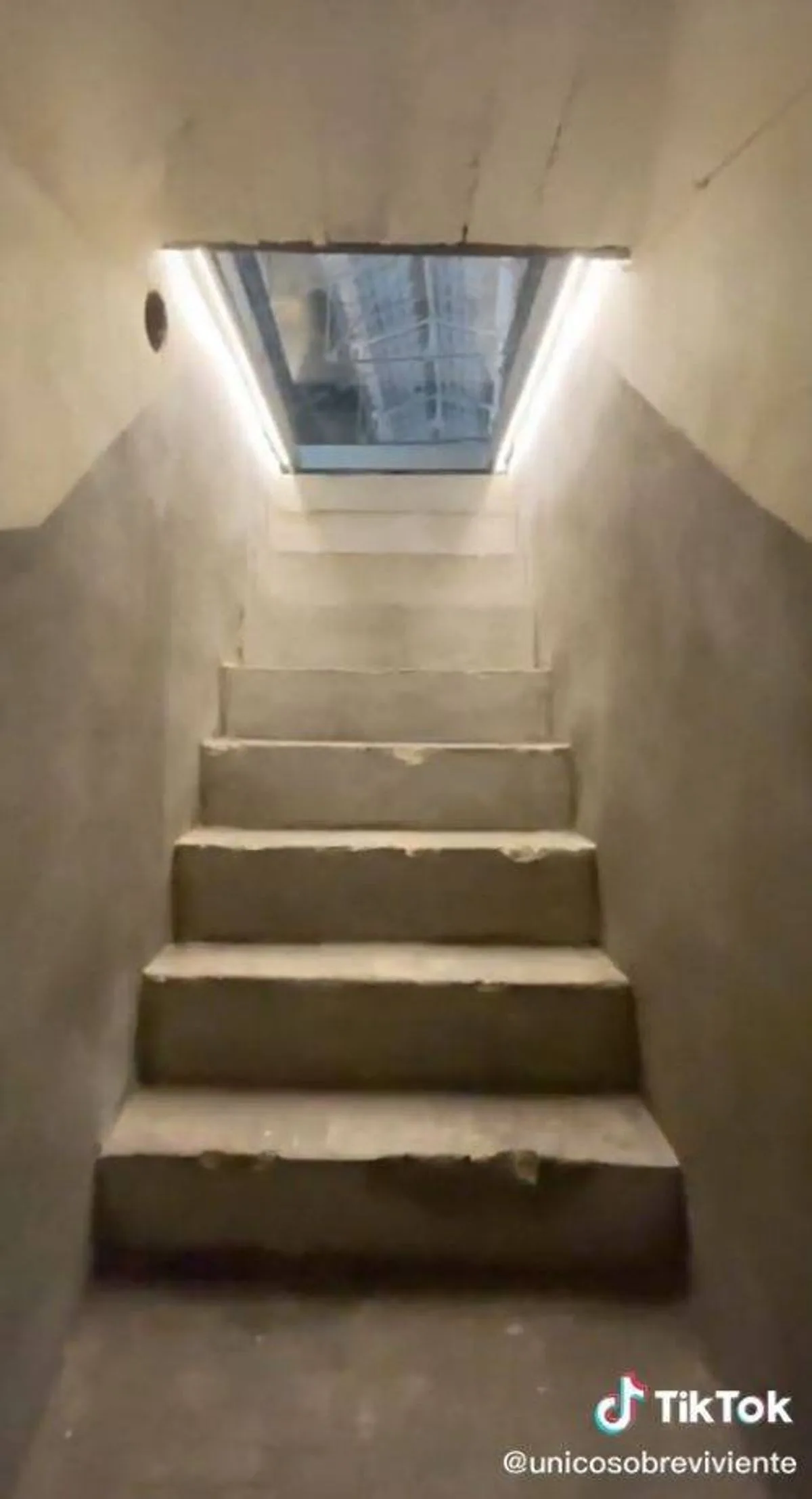 TikTok lietotājs apgalvo, ka 2028. gadā ir palicis viens pats pasaulē