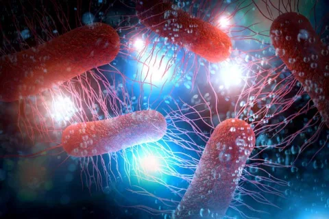 Lielbritānijā atsauc četrus vistas gaļas tortilju veidus iespējama E. coli piesārņojuma dēļ