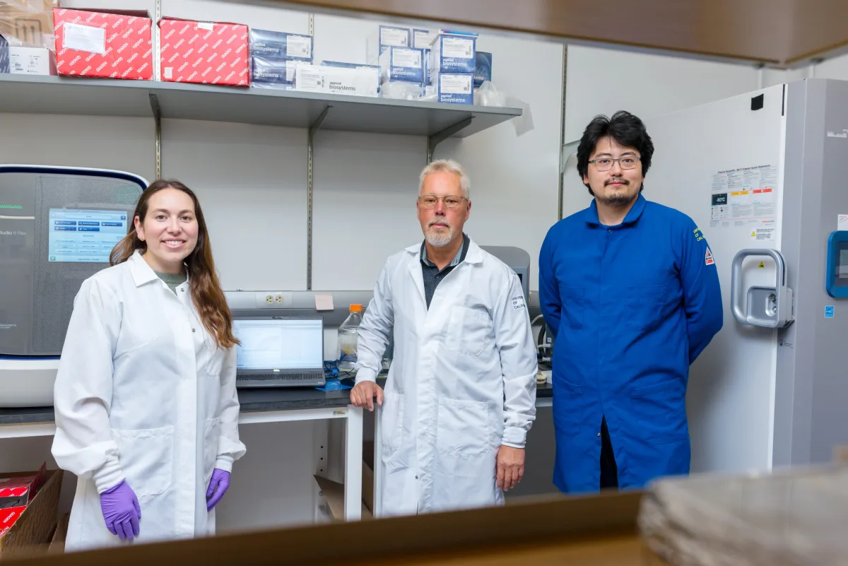 Rachelle Stark, Anders Näär, and Chu Zhu standing together in a UC Berkeley laboratory. Anders Näär (center), with metabolic biology graduate student Rachelle Stark (left), and nut
