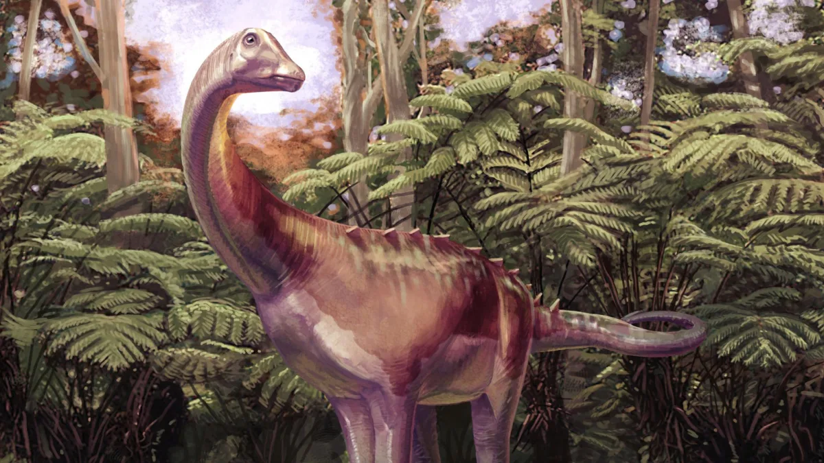 Image 37: An artist reconstruction of the titanosaur discovered on Antarctica.