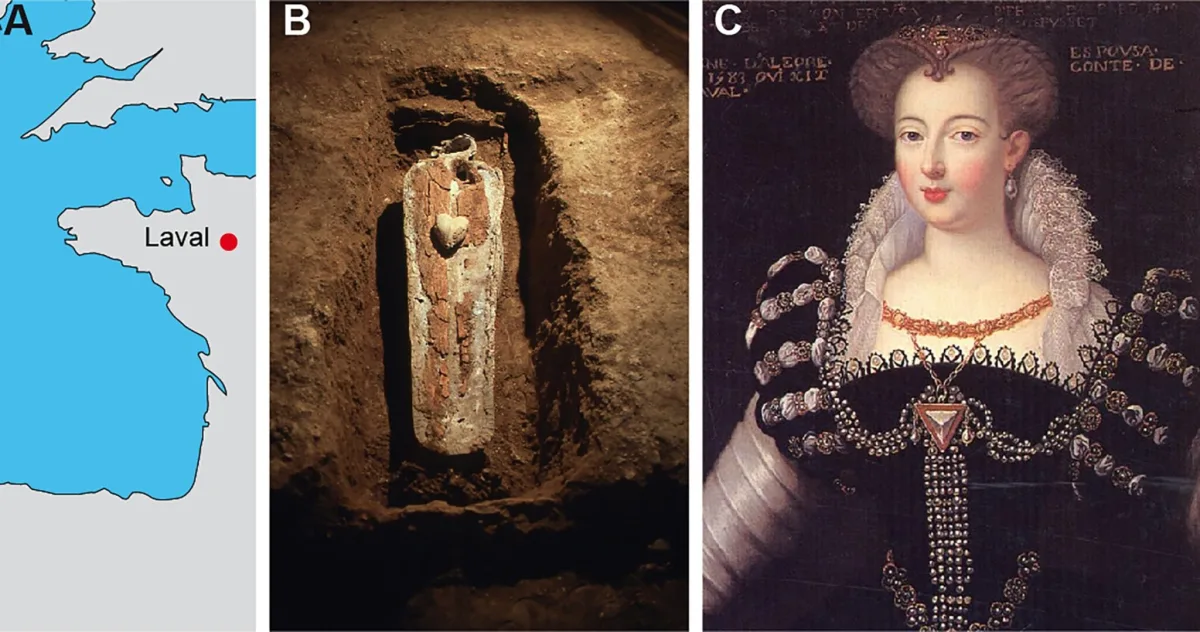 This 17th-Century Aristocrat Had an Ingenious Secret For Keeping Her Teeth (A) Location of Laval, France where the lead coffin (B) was discovered. Oil on canvas (C) representing th